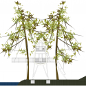 Treehouse Solling / baumraum Treehouse Solling / baumraum Elevación 2